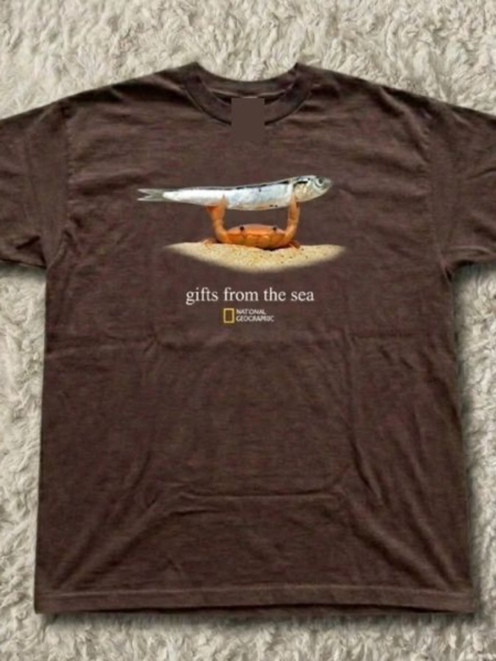 National Geographic Brown Tee with Crab and Fish Graphic
